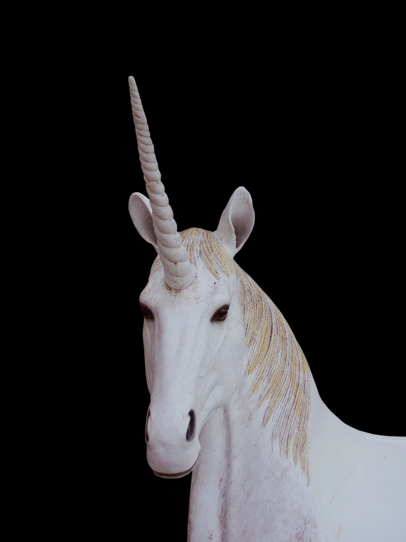 Unicorn Safari